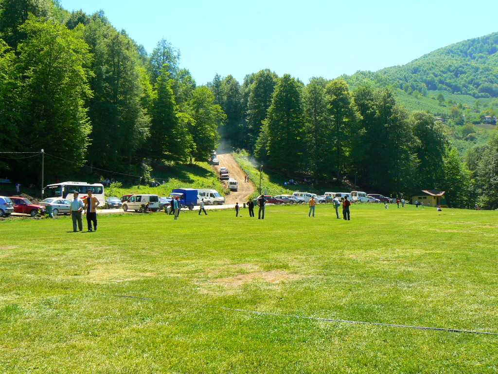 Picnic area 1